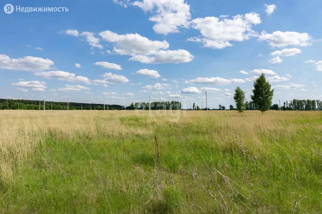 Луговой участок. Старые Гардали.