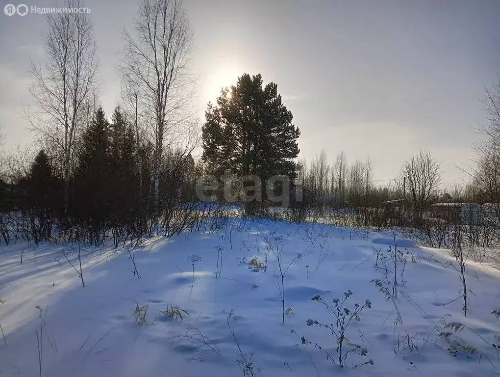 Участок в Тюменский район, СНТ Маяк, Вишнёвая улица (9.67 м) - Фото 0