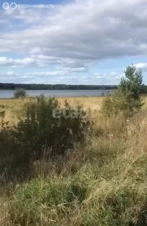 Участок в Пермский край, Нытвенский муниципальный округ, деревня ... - Фото 1
