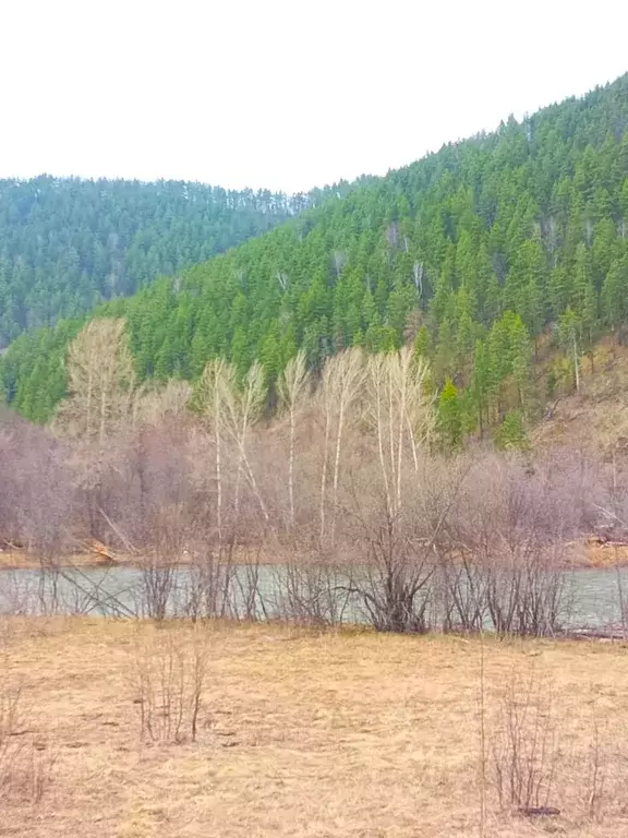 Коттедж в Башкортостан, Белорецкий район, Инзерский сельсовет, д. ... - Фото 2