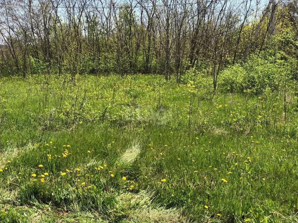 Купить Участок Ижс В Белгороде Недорого