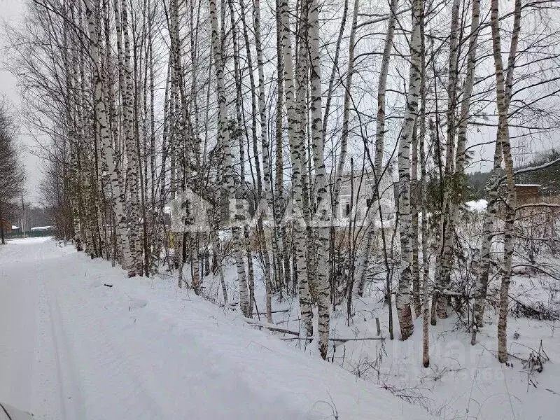 Участок в Владимирская область, Судогодский район, Лавровское ... - Фото 0