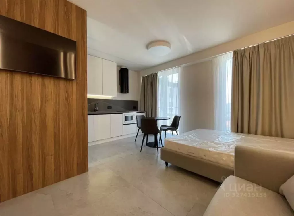 Студия Краснодарский край, Сочи городской округ, Дагомыс пгт ул. ... - Фото 2