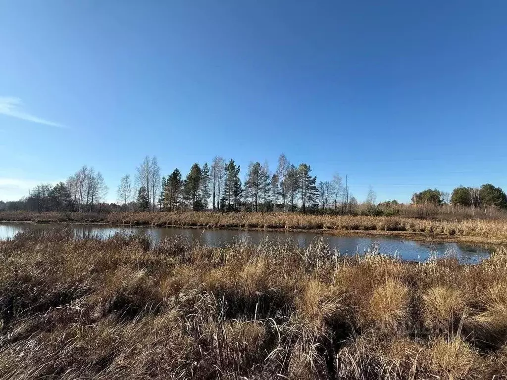 Участок в Пензенская область, Бессоновский район, пос. Подлесный, ... - Фото 1