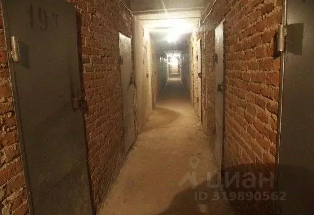 Гараж в Алтайский край, Барнаул ул. Димитрова, 50А (11 м) - Фото 0