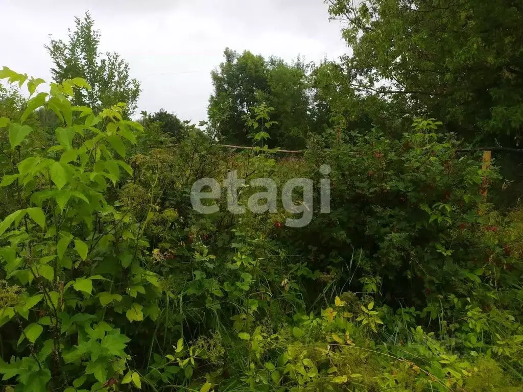 Участок в Костромская область, Кострома Первый кп,  (7.3 сот.) - Фото 1