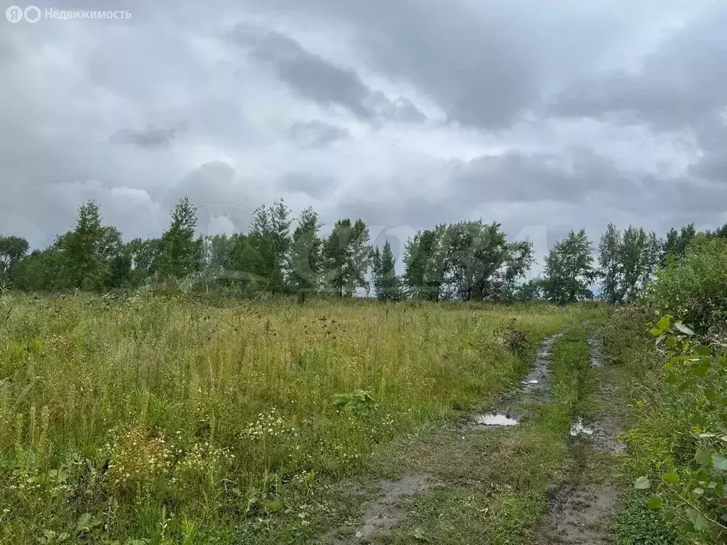 Участок в Тюменский район, село Луговое (38.1 м) - Фото 1
