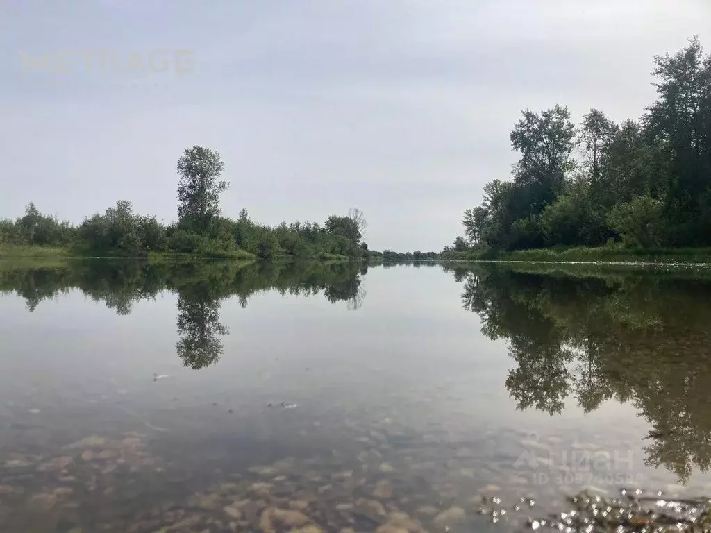 Участок в Новосибирская область, Колыванский район, Луговое СТ 54 (8.0 ... - Фото 1