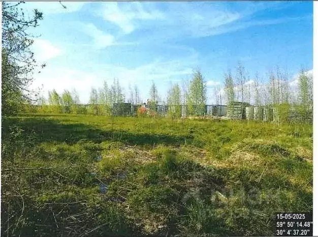 Участок в Санкт-Петербург пос. Стрельна,  (12.0 сот.) - Фото 2