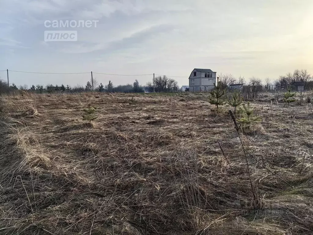 Участок в Воронежская область, Верхнехавский район, Углянское с/пос, ... - Фото 0