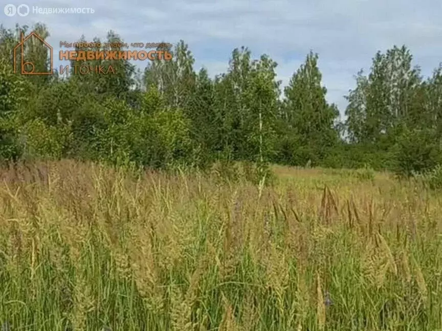 Участок в Краснокамский район, село Кариево (10 м) - Фото 0