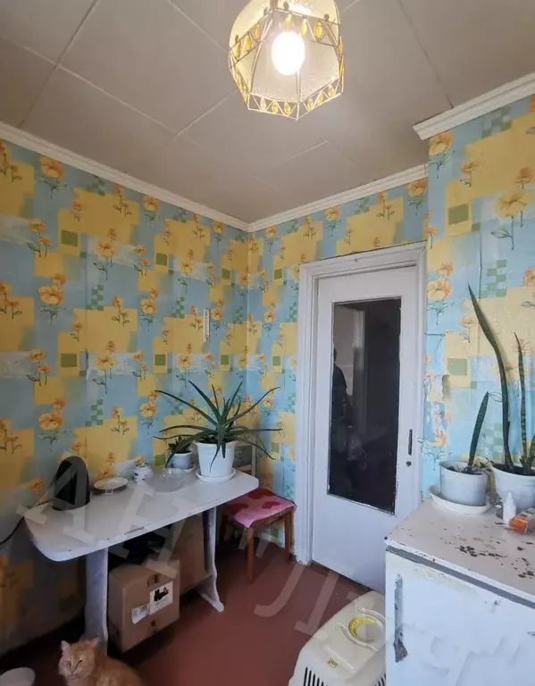 Продаётся 1-к квартира, 32.4 м - Фото 1