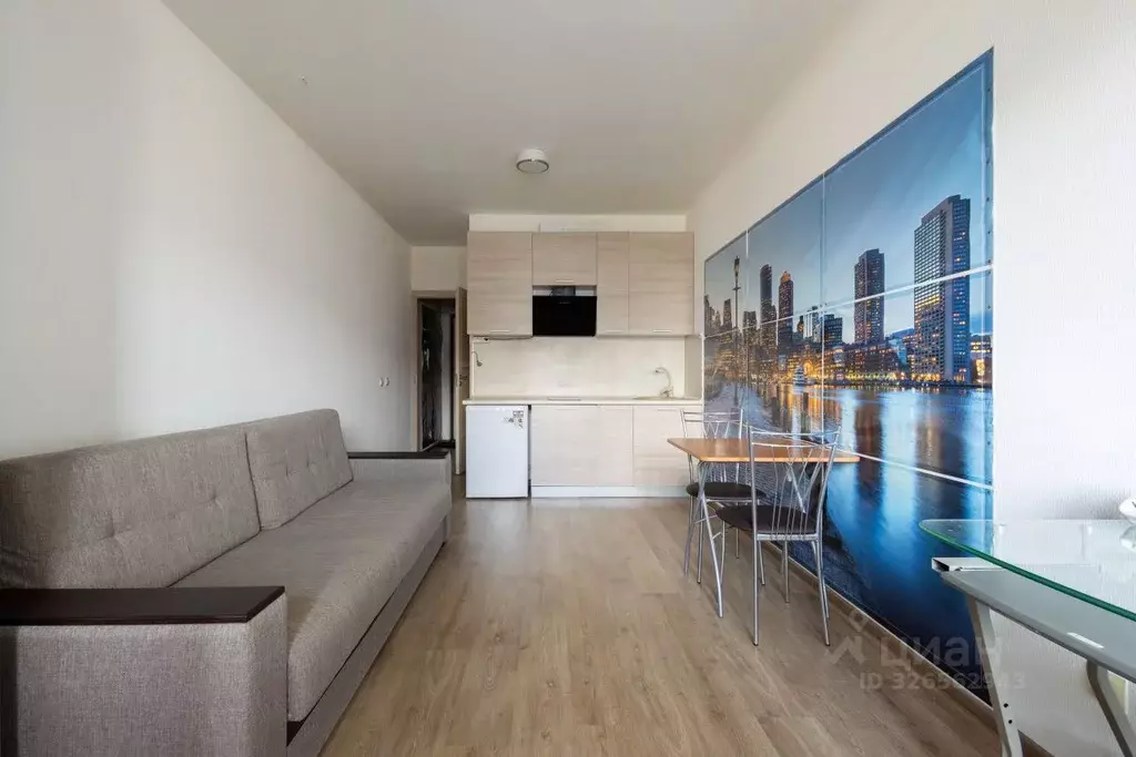 Студия Санкт-Петербург просп. Ветеранов, 175к4 (24.8 м) - Фото 1