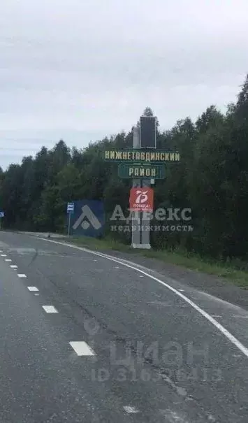 Участок в Тюменская область, Нижнетавдинский район, Лесная сказка СНТ ... - Фото 1