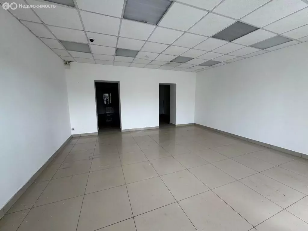 Торговая площадь (60.6 м) - Фото 2