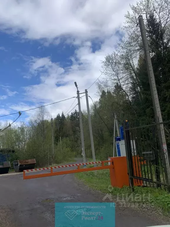 Участок в Московская область, Дмитровский муниципальный округ, ... - Фото 0