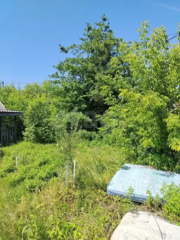 Дом в Хабаровский край, Хабаровский район, Тополевское с/пос, ... - Фото 2