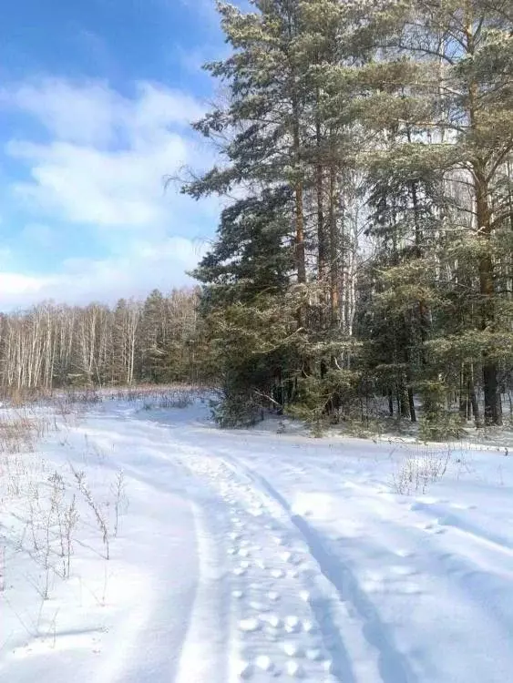 Участок в Свердловская область, Арамиль  (9.85 сот.) - Фото 1