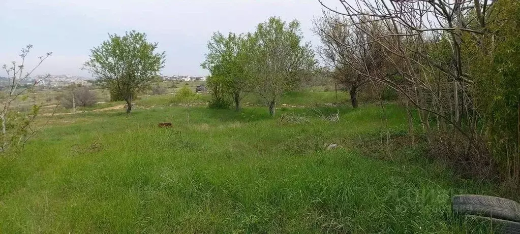 Участок в Севастополь ул. Летчика Наумова, 18 (10.0 сот.) - Фото 1