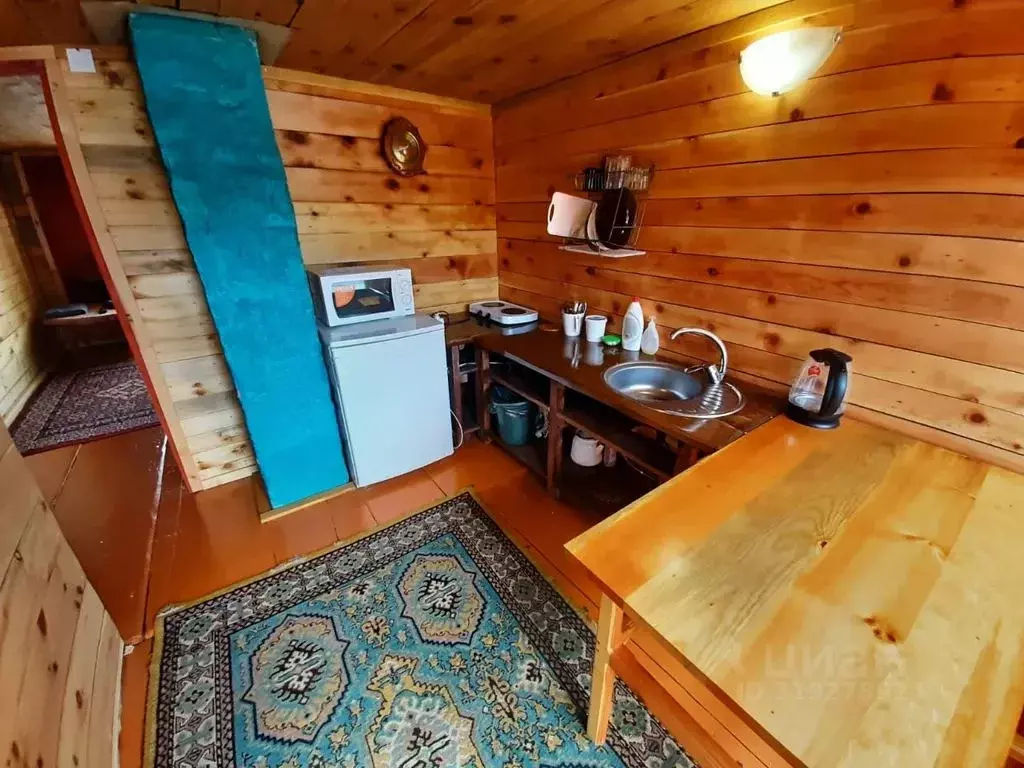 1-к кв. Алтай, Турочакский район, с. Иогач Набережная ул., 50 (30.0 м) - Фото 1