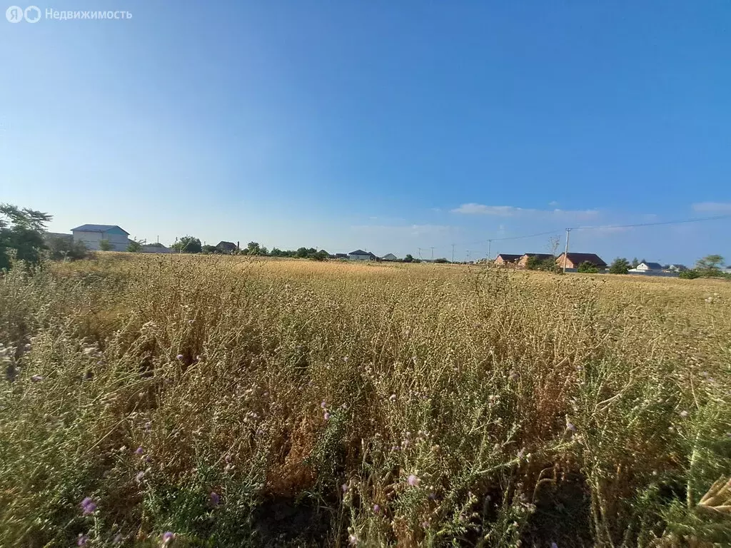 Участок в Кухаривка, Цветочная улица (15 м) - Фото 1