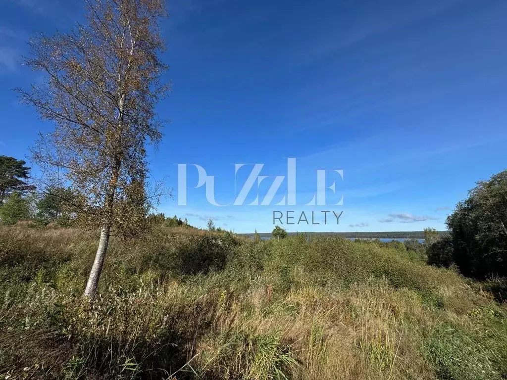 Участок в Ленинградская область, Приозерский район, Петровское с/пос, ... - Фото 1