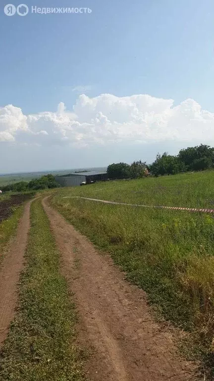 Участок в Александровка, Восточная улица, 4 (26 м) - Фото 0