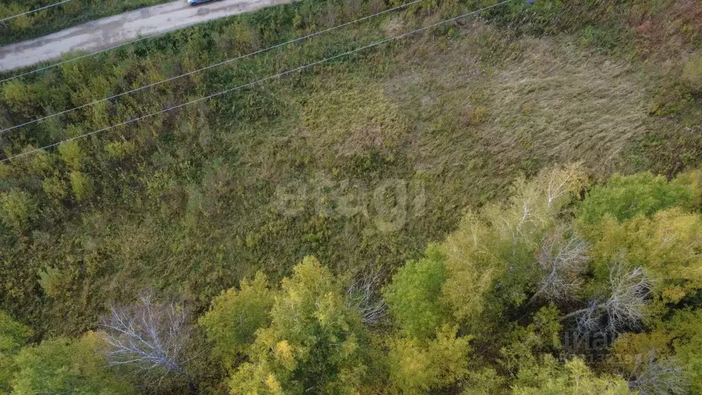 Участок в Томская область, Томск пос. Родионово, ул. Магистральная ... - Фото 1