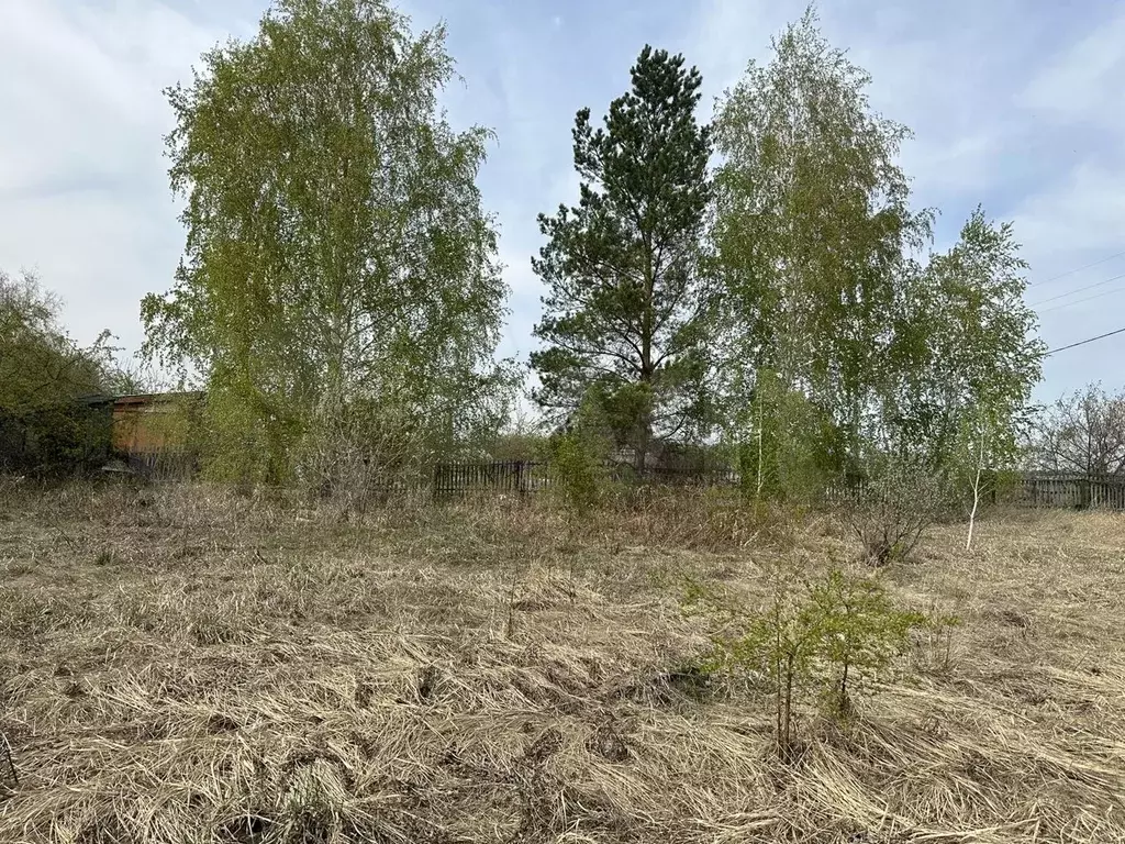 Купить Дом В Падь Омской Области