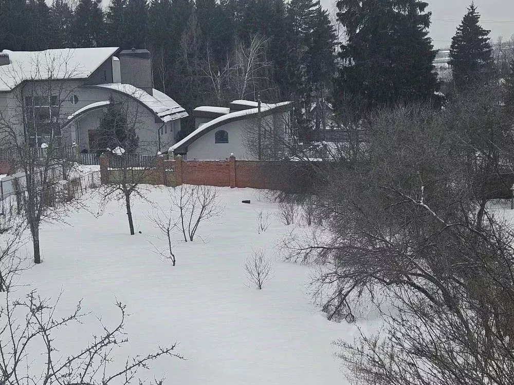 Участок в Московская область, Одинцовский городской округ, Лесной ... - Фото 2