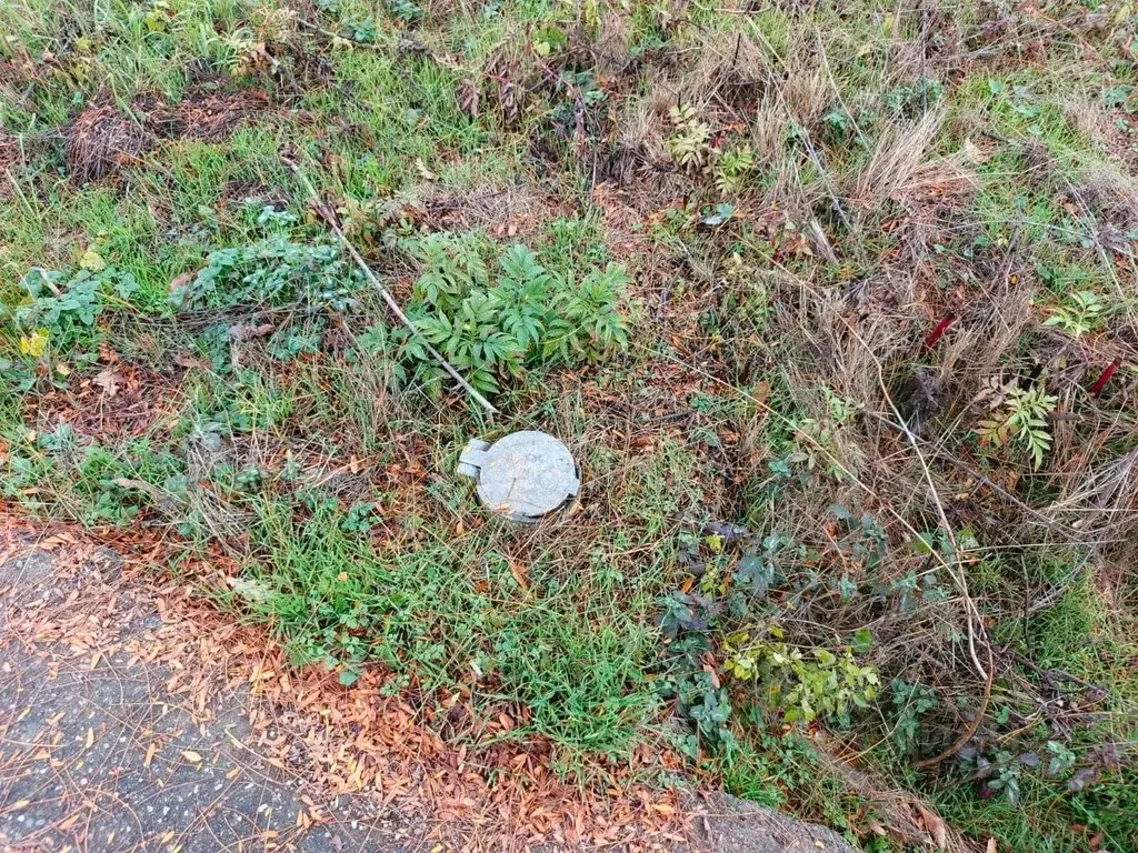 Участок в Краснодарский край, Северский район, Афипское городское ... - Фото 1