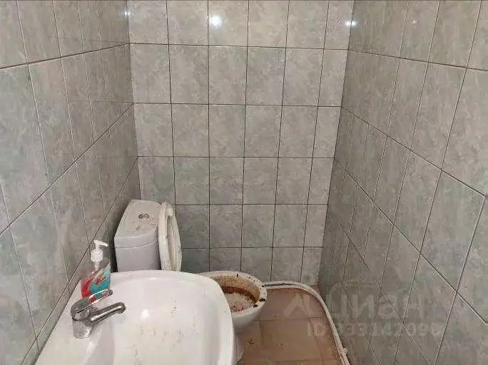 Помещение свободного назначения в Ленинградская область, Отрадное ... - Фото 1