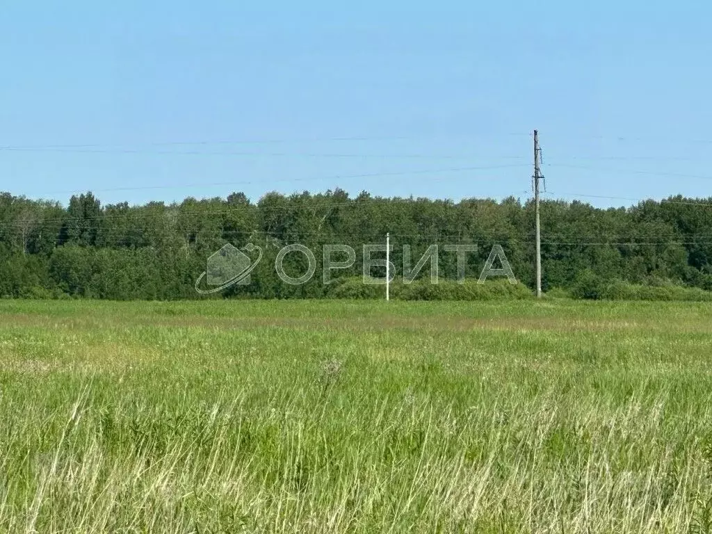 Участок в Тюменская область, Тюменский район, д. Елань Береговая ул. ... - Фото 1