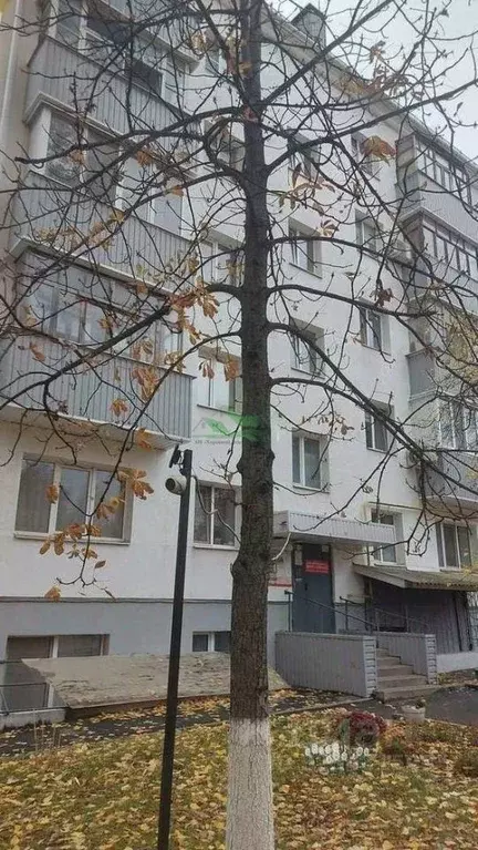 2-к кв. Белгородская область, Белгород просп. Богдана Хмельницкого, 94 ... - Фото 1