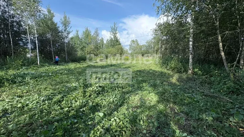 Участок в Вологодская область, Вологда аллея 12-я (6.0 сот.) - Фото 0