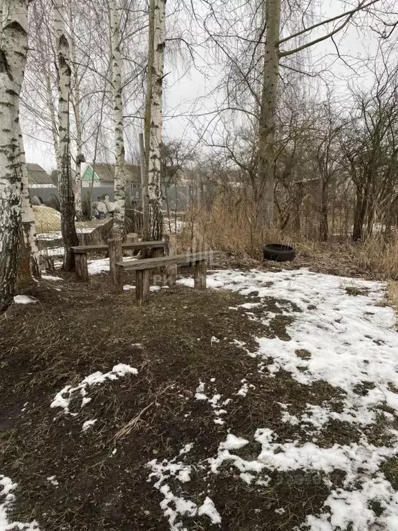 Участок в Брянская область, Брянск Имени Гагарина садоводческое ... - Фото 1