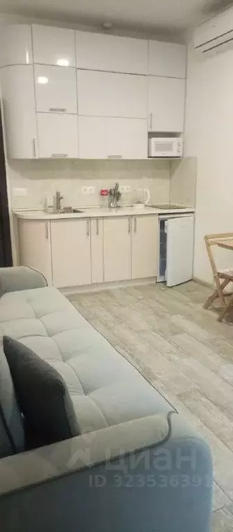 Студия Краснодарский край, Сочи ул. Аллея Челтенхема, 8/8 (25.0 м) - Фото 2