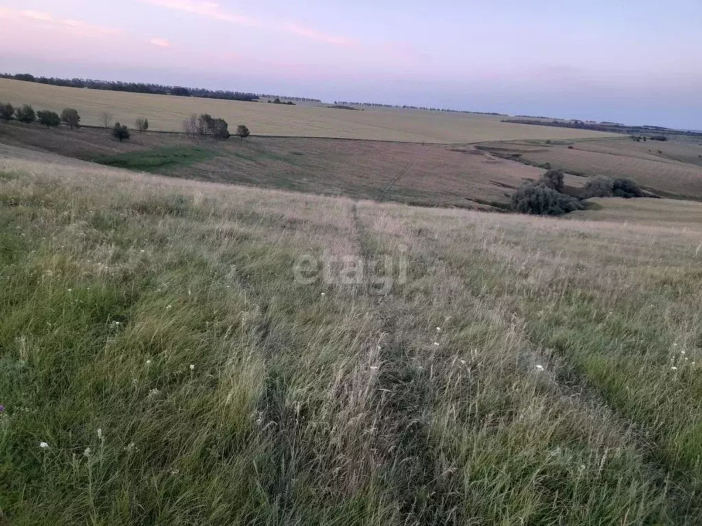 Участок в Белгородская область, Валуйки (1660.0 сот.) - Фото 1