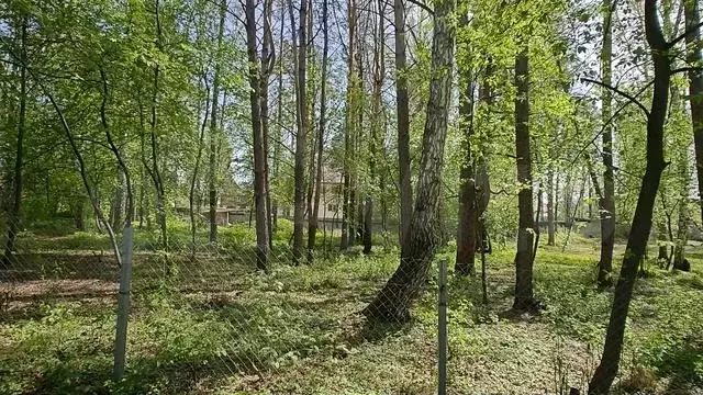 Участок 4,69 га (ИЖС) - Фото 1