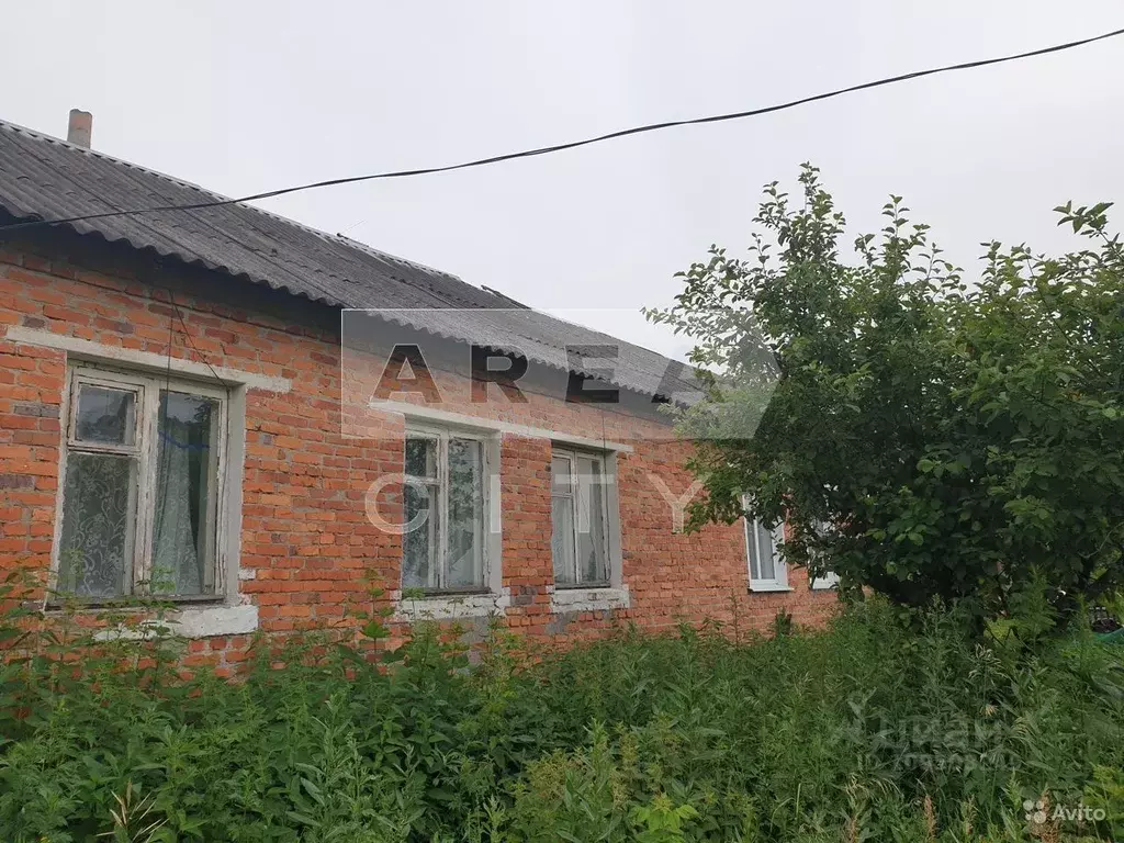 Дом в Тамбовская область, Петровский муниципальный округ, с. Большая ... - Фото 1