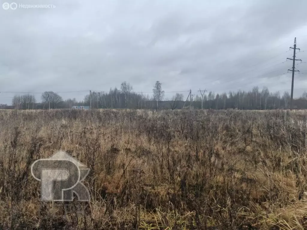 Участок в Московская область, Раменский муниципальный округ, село ... - Фото 2