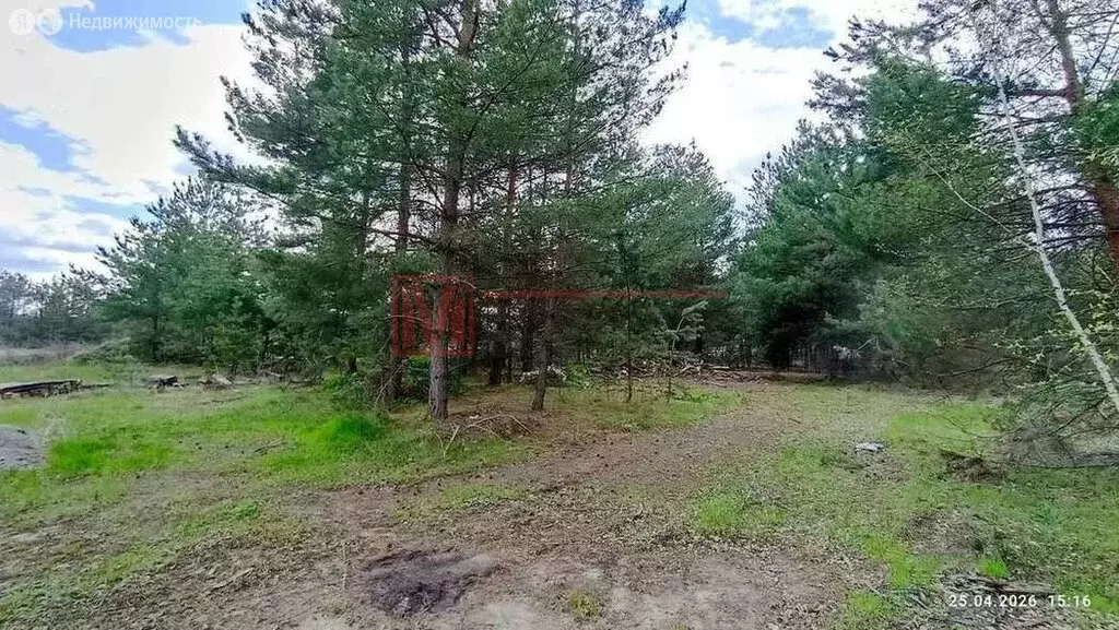 Участок в Старый Оскол, СНТ Нива, 1-й квартал Нивы (8.5 м) - Фото 1