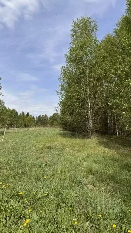 Участок в Новгородская область, Пестовский муниципальный округ, д. ... - Фото 2