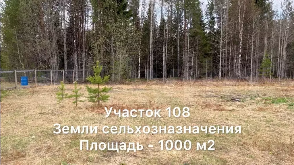 Участок 10 сот. (СНТ, ДНП) - Фото 1