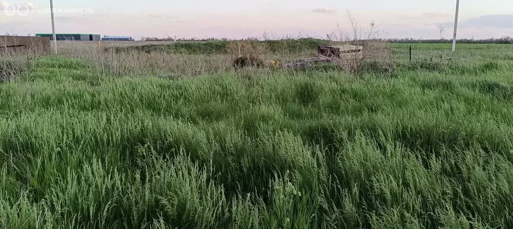 Участок в посёлок Октябрьский, коттеджный посёлок Любовь, Изумрудная ... - Фото 1