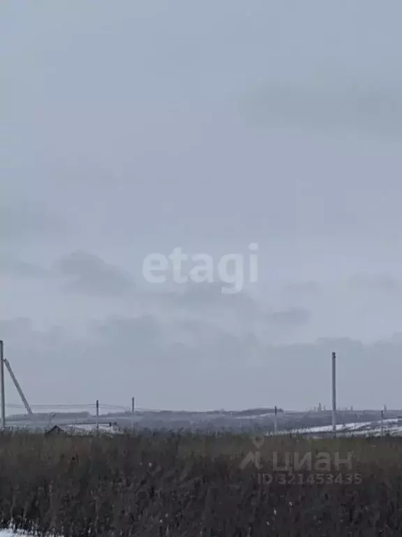 Участок в Белгородская область, Белгородский район, Головинское с/пос, ... - Фото 2