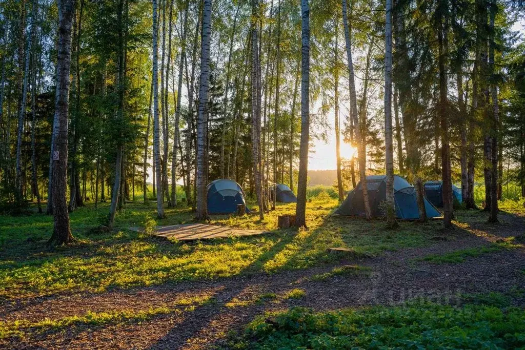 Участок в Тверская область, Конаковский муниципальный округ, Парадайз ... - Фото 2