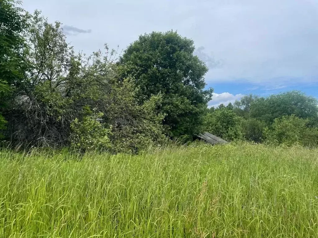 Участок в Псковская область, Пустошкинский район, Пригородная волость, ... - Фото 2