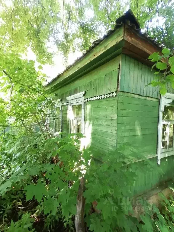 Дом в Брянская область, Выгоничское городское поселение, д. Николаевка ... - Фото 1