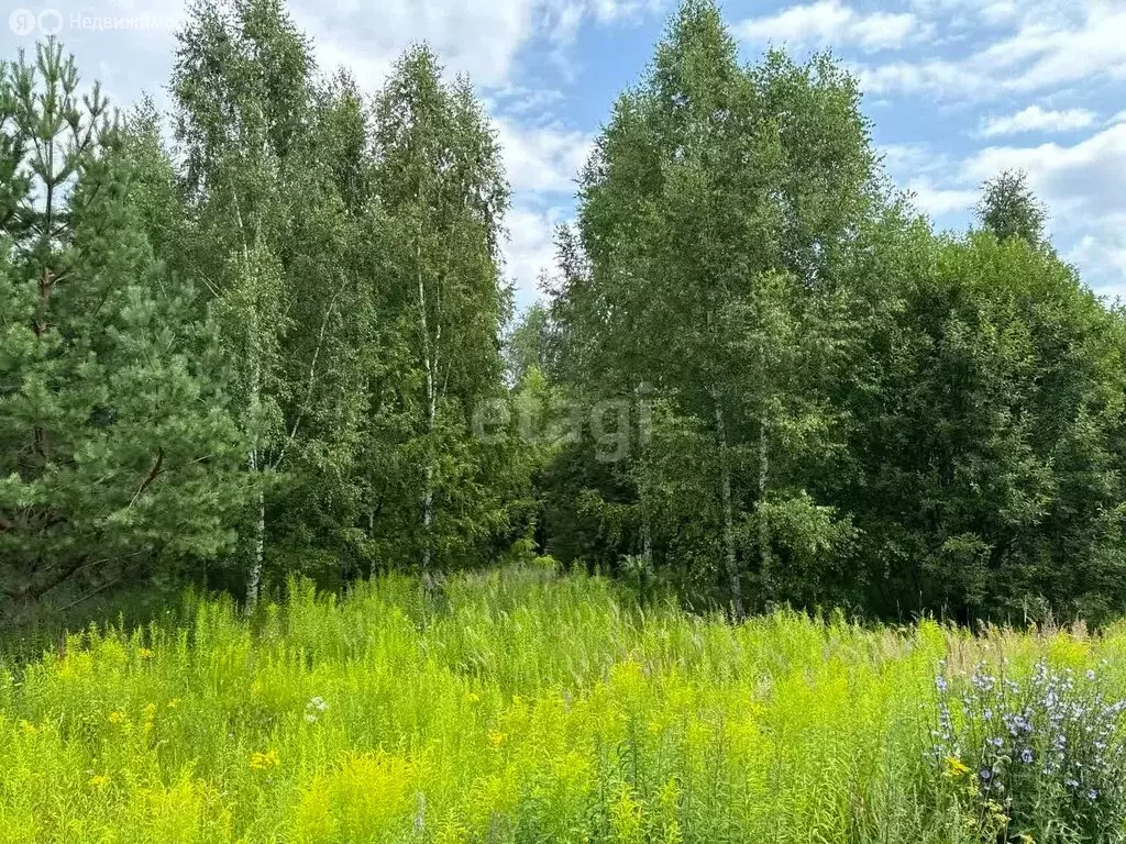 Участок в Нижегородская область, Городецкий муниципальный округ, ... - Фото 1